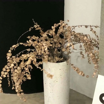 兽设城市场景创作兽圈群